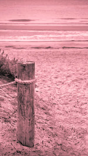 粉紅色海灘場景，木樁和繩索靠近海浪。 — 熱粉紅美學 壁紙