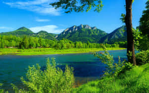 一條平靜的河流蜿蜒穿過充滿活力的綠色草地，背景是森林覆蓋的山脈。 — 夏日氣息 壁紙