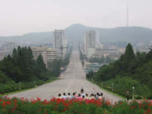 一條長長的直路，前景有人和紅花，通往城市建築物和山脈。 — 夜景城市 壁紙