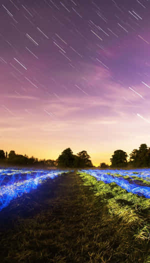 夜晚的草地，有發光的藍色光軌和紫色天空中的星軌。 — 手機 壁紙