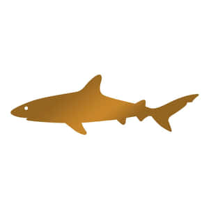 白色背景上的黃金鯊魚剪影 — 鯊魚 GIF 壁紙