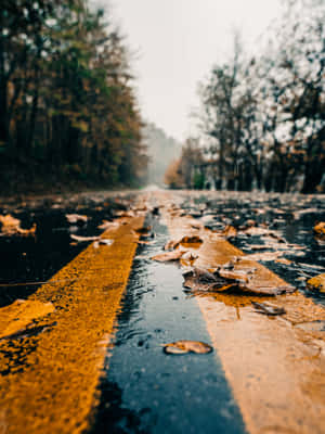 灰色天空下，潮濕的道路上散落著秋天的落葉和黃色標線。 — 2048x2732 壁紙
