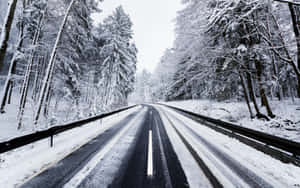 積雪的道路蜿蜒穿過冬季森林，樹木高大。 — 2880x1800 壁紙