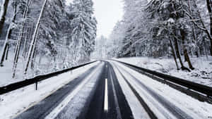 穿過冬季森林的雪路，有光禿禿的樹木和常綠樹。 — 道路 壁紙