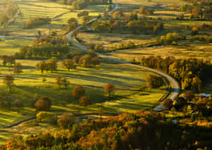金色夕陽下蜿蜒穿過秋日山丘的道路