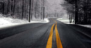 白雪覆蓋的森林道路，黃色中心線蜿蜒伸向遠方。 — 道路 壁紙