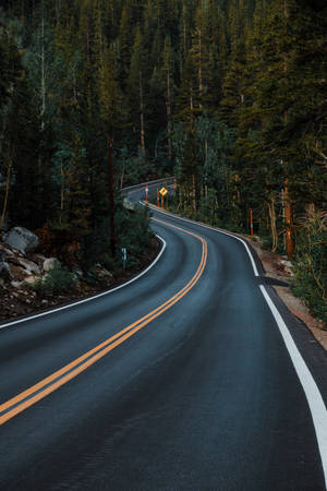 蜿蜒道路穿過茂密常綠樹林，暮光 — 旅行 壁紙