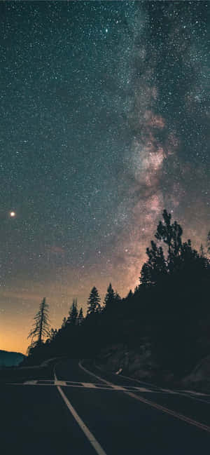 在星空下，一條黑暗蜿蜒的道路，有銀河和松樹。 — 森林 壁紙