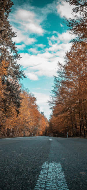 一條風景如畫的秋日道路，兩旁是金色樹木，上方是明亮的藍天和白雲。 — Huawei 壁紙