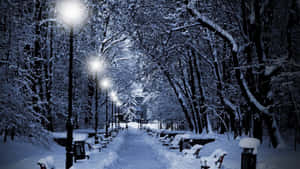 被雪覆蓋的公園小徑在夜晚被發光的街燈照亮。 — 道路 壁紙