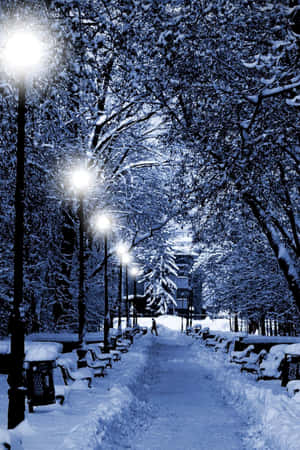夜晚被發光街燈照亮的雪覆蓋公園小徑，有積雪的樹木和長椅。 — 冬日美學 壁紙