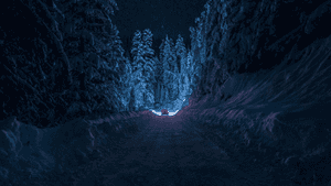一條覆蓋雪的路，中間有一盞藍色燈光