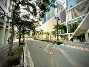 現代城市街道，在明亮陽光下，有玻璃建築、棕櫚樹和橙色交通錐。 — 日落大道 壁紙