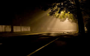 夜晚空無一人的街道，有霧氣和穿過樹木的金色光束。 — 黑暗森林 壁紙