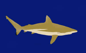 一條簡化插圖的鯊魚在深藍色水中游動。 — Steam Deck 壁紙