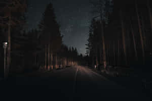 星空下夜晚寧靜的森林道路。 — MacBook Pro M3 壁紙