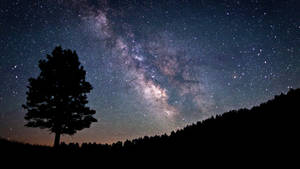 一棵孤樹映襯著滿天星斗的夜空，銀河清晰可見。