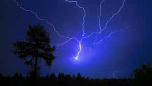一棵孤獨的松樹以剪影矗立，閃電劃過暴風雨的夜空。 — 雷暴 壁紙