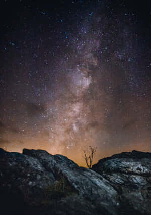 星空下岩石上的一棵孤樹與銀河 — 月色夜空 壁紙