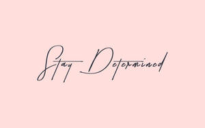 勵志名言 Stay Determined 以優雅的黑色草書顯示在柔和的粉紅色背景上。