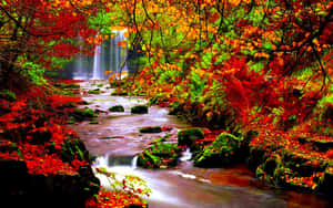 色彩繽紛的秋日森林，溪流流向瀑布。 — MacBook Pro 13 壁紙