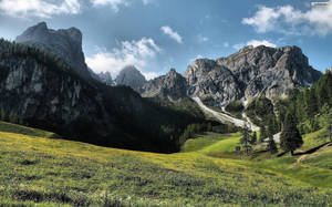 陽光照耀的草地，野花和高聳的山脈作為背景。 — 草 壁紙