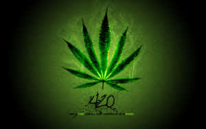發光的綠色大麻葉，帶有煙霧和文字420，在深色背景上。 — 綠色動態圖 壁紙