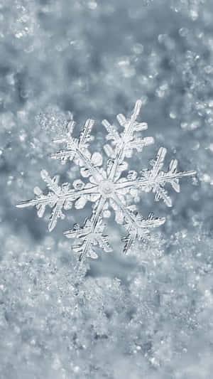 藍光下雪地上細節清晰的雪花。 — 冬日美學 壁紙