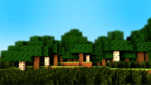 Minecraft風格的塊狀像素化森林，有綠色樹木和藍天。 — 草 壁紙