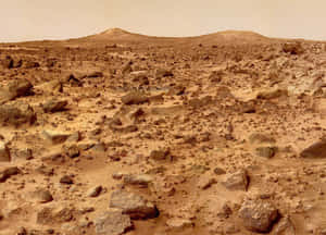崎嶇的火星地形，散落著岩石和遠山，籠罩在朦朧的天空下。 — 火星 GIF 壁紙