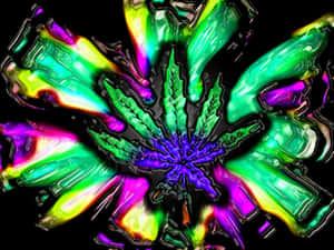 螢光綠和紫色的大麻葉，在黑色背景上有發光的卷鬚。 — 瀑布 壁紙