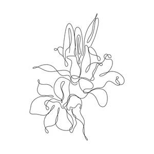 以連續流暢線條繪製的風格化花朵抽象黑色線條藝術。