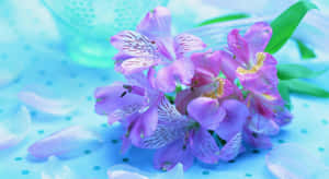 藍色圓點背景上的白色斑點紫色花朵。 — 紫色花朵 壁紙