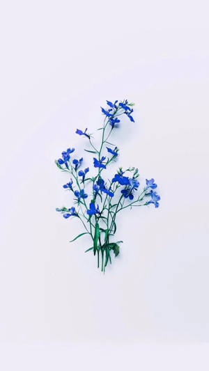 白色背景上的藍色花朵與綠色莖幹