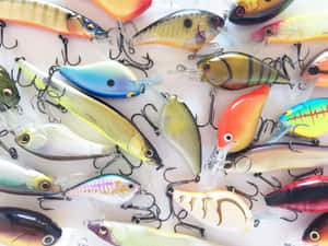 白色背景上各種魚餌連魚鉤的特寫。 — 釣魚 壁紙