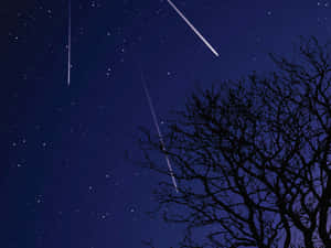 光禿樹木剪影，背景是星空和流星。 — 星空夜 壁紙