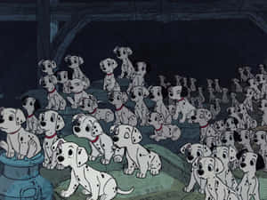 達爾馬提亞犬圖片