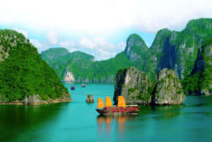 傳統越南帆船在鬱鬱蔥蔥的綠色喀斯特島嶼之間的碧綠海水中航行。 — MacBook Pro M4 壁紙