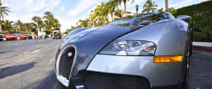 銀色Bugatti Veyron停泊在熱帶街道上，有棕櫚樹和其他豪華汽車。 — 3440x1440 壁紙