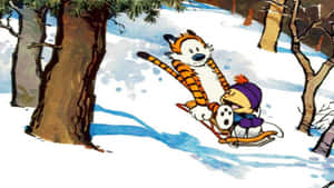Calvin 同老虎喺冬季森林嘅雪山上坐雪橇滑落。 — 卡爾文與霍布斯 壁紙