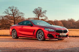 日落時分，紅色BMW 8系雙門轎跑車停在碎石路上，旁邊是光禿禿的樹木。 — Surface Laptop 壁紙