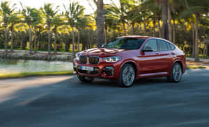 日落時分，紅色BMW X4在棕櫚樹成蔭的水邊道路上行駛。 — MacBook Air M1 壁紙