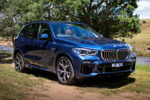 藍色BMW X5 SUV停泊在河邊草地上，附近有樹木。 — Surface Pro 壁紙