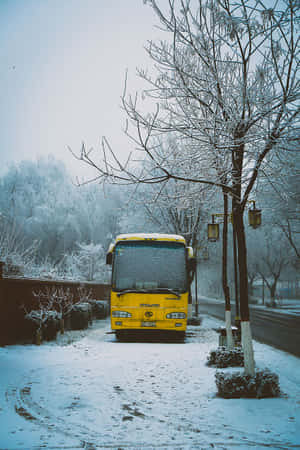 黃色巴士停泊在雪街，有霜樹和霧濛濛的冬日空氣。 — 小米18 Fold 壁紙