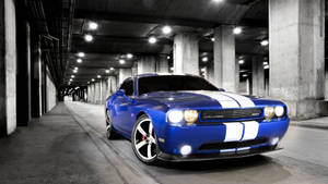 藍色肌肉車帶白色條紋，停在光線昏暗的地下車庫。 — Dodge challenger GIF 壁紙