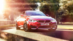 紅色BMW M4 GT4在陽光明媚的賽道上奔馳，背景有樹木。 — 汽車 4K 壁紙