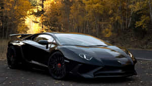 黑色林寶堅尼 Aventador 停泊在森林道路上，伴有金黃色秋樹。 — 林寶堅尼 4K 壁紙