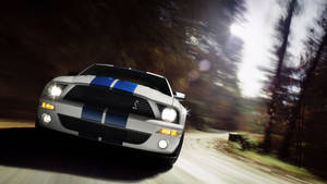 白色Shelby Mustang帶藍色條紋在黃昏時分穿過森林。 — 野馬 GIF 壁紙