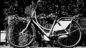 復古單車靠喺石牆上，樹葉背景黑白。 — 黑白美學 壁紙