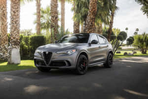 啞光灰色 Alfa Romeo SUV 在陽光明媚的日子停泊在棕櫚樹下。 — MacBook Pro 14 壁紙